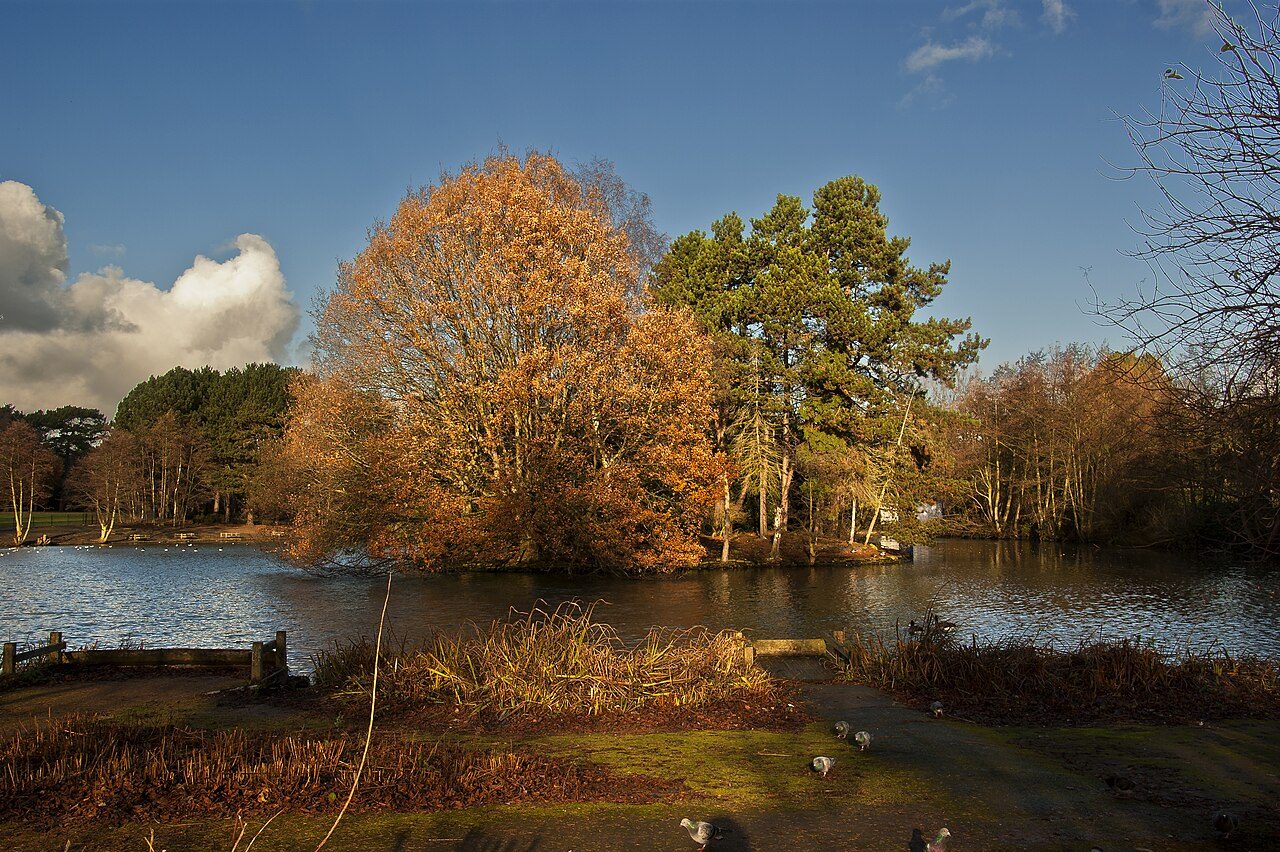 Autumn trees around the lake in Calderstones Park