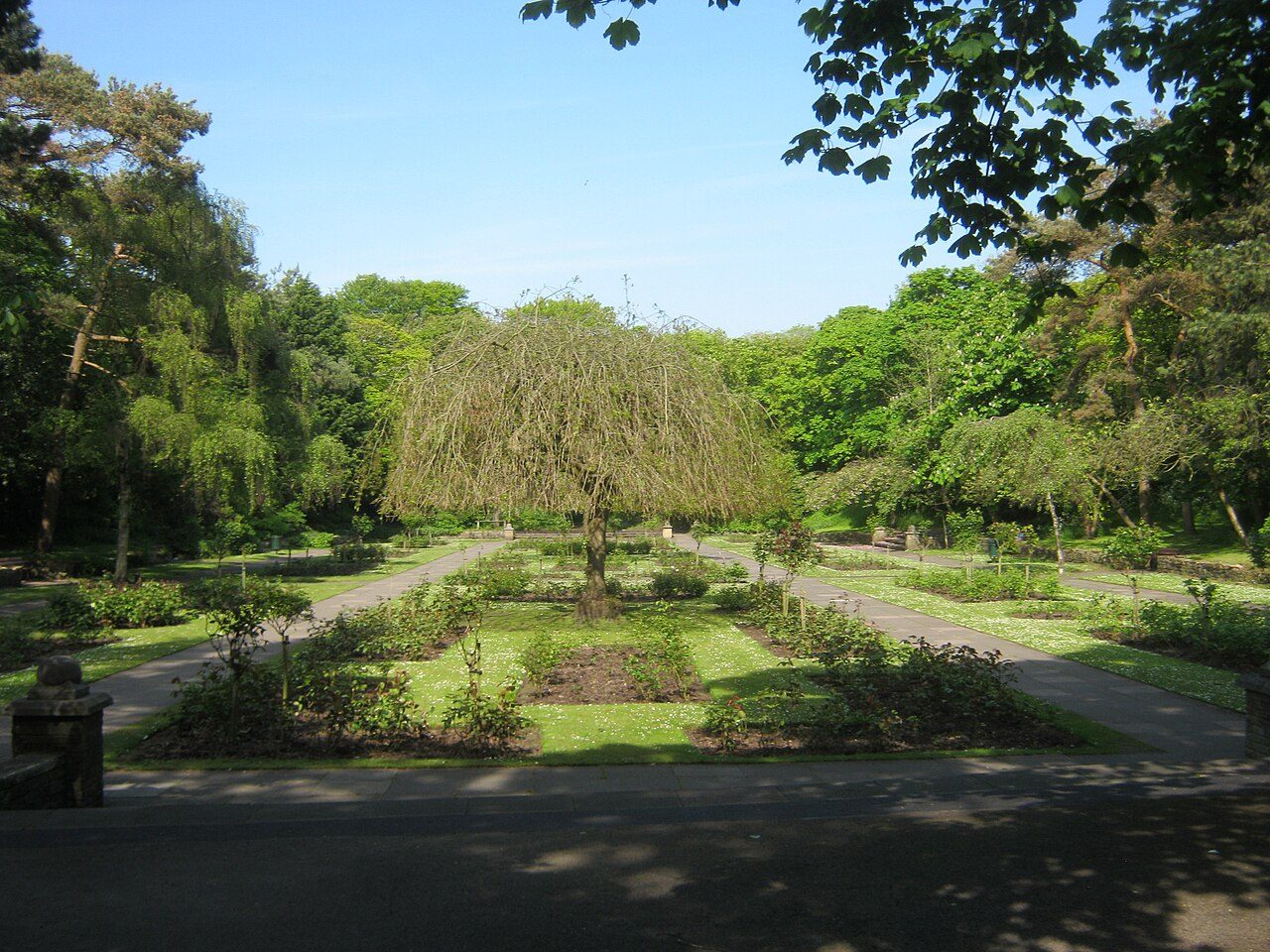 The rose garden at Hesketh Park, Southport