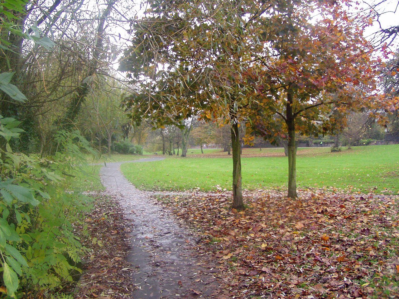 An autumn path through Princes Park, Liverpool