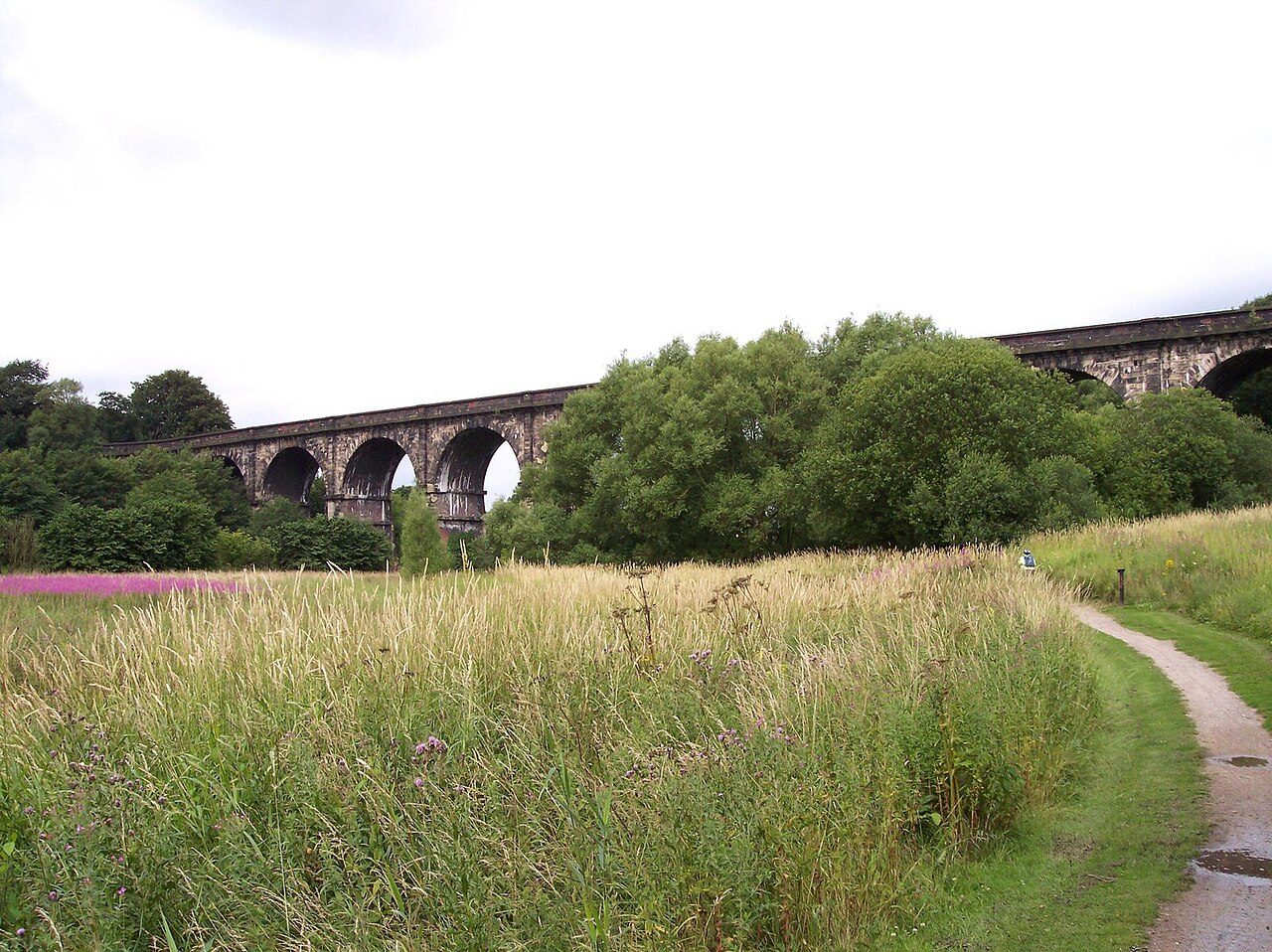 The Sankey Viaduct crossing the meadows of Sankey Valley Park
