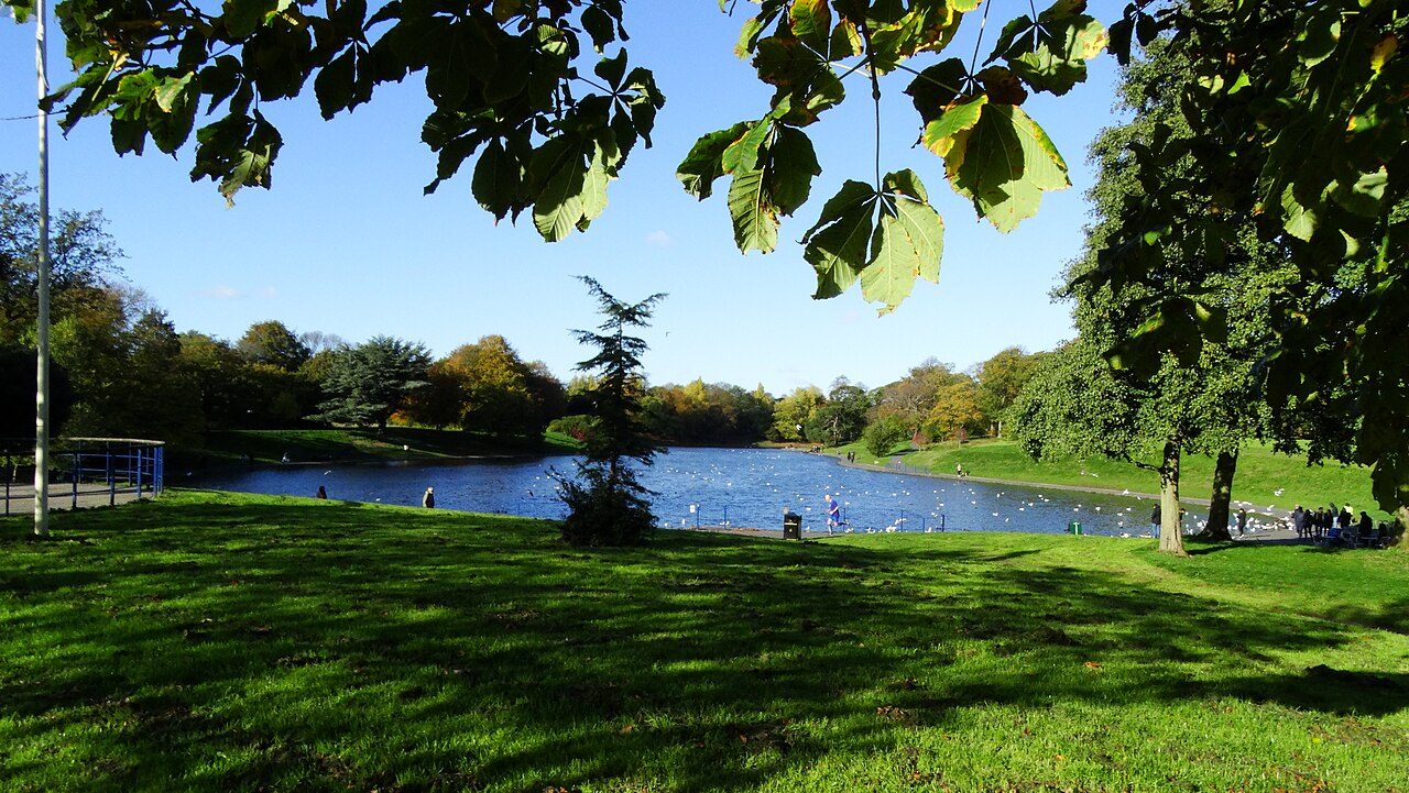 The boating lake at Sefton Park on a sunny day