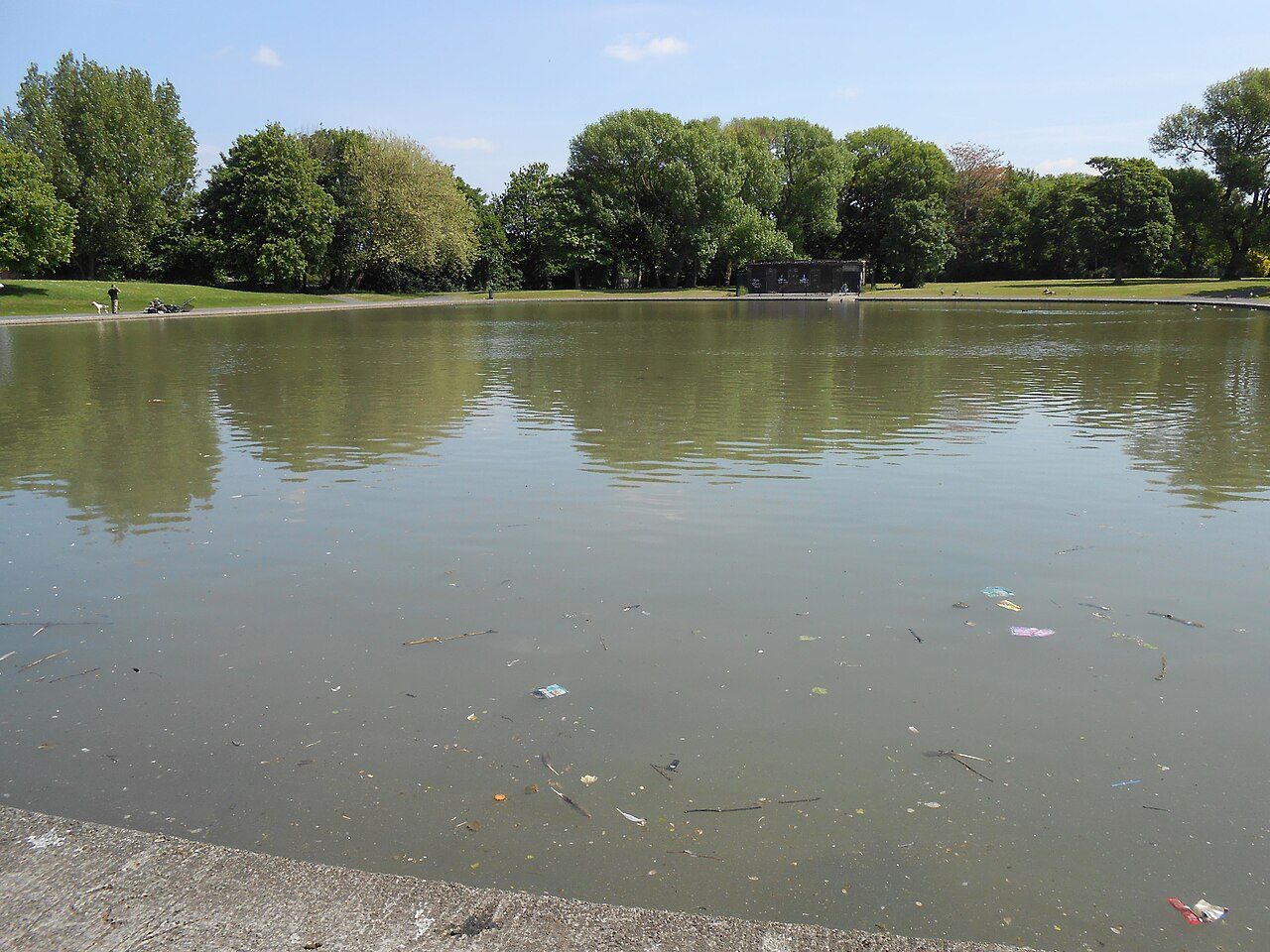 The lake at Walton Hall Park on a summer day