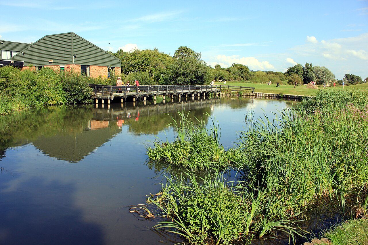 The pond by the visitor centre at Wirral Country Park, Thurstaston