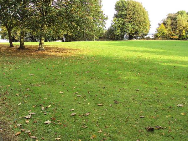 Grass and trees at Eastham Country Park beside Ferry Road