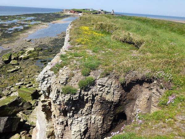 The rocky shore of Hilbre Island in the Dee estuary