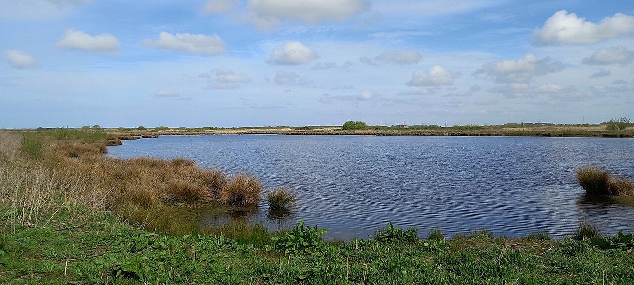 Wetland pool at Lunt Meadows Nature Reserve