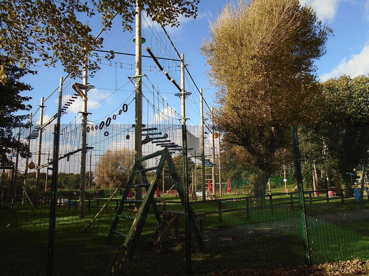 The high ropes course among the trees at Otterspool Adventure