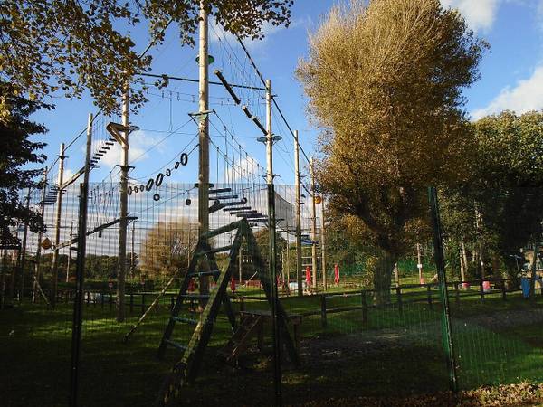 The high ropes course among the trees at Otterspool Adventure