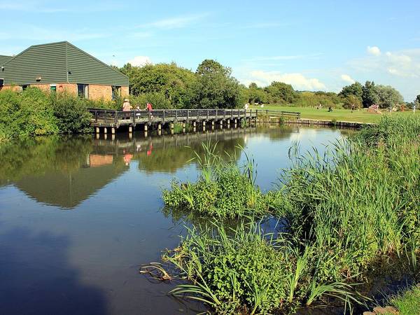 The pond by the visitor centre at Wirral Country Park, Thurstaston