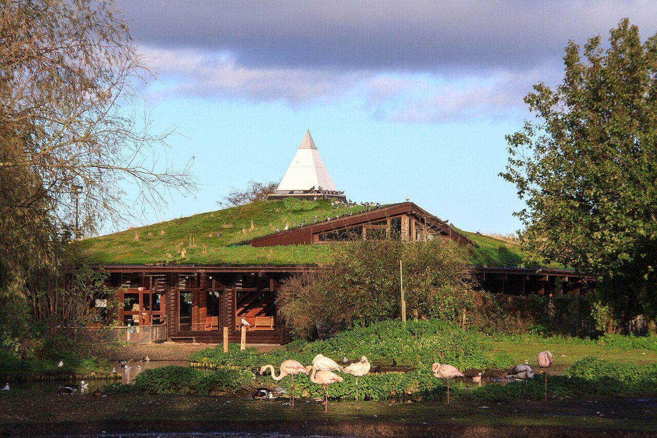 The visitor centre at WWT Martin Mere with birds on the grass in front