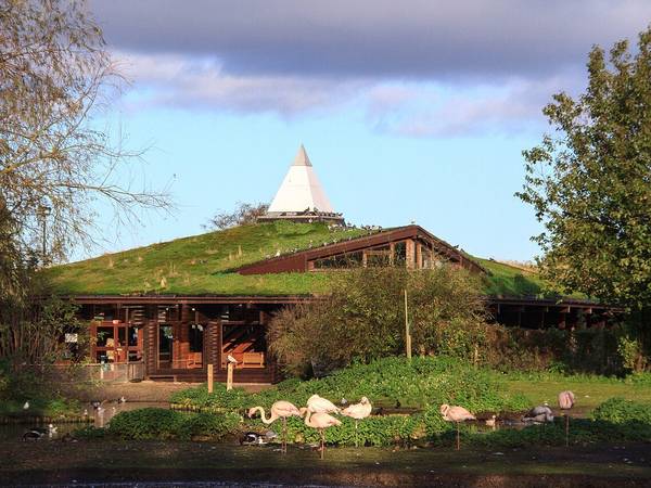 The visitor centre at WWT Martin Mere with birds on the grass in front